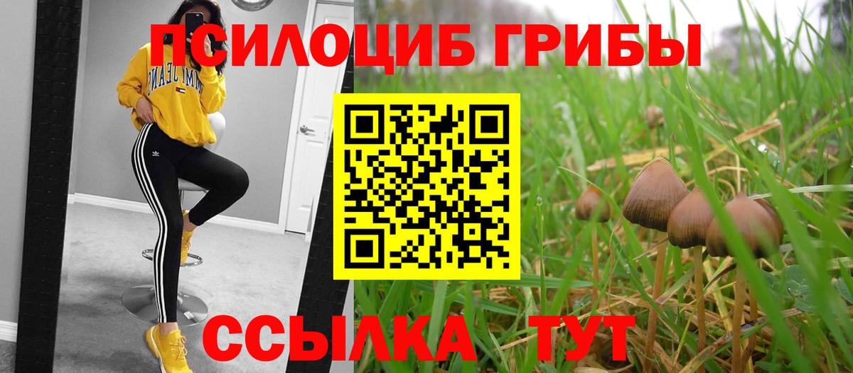 Петрозаводск  Псилоцибиновые грибы Psilocybine cubensis  Вход с VPN  Псилоцибиновые грибы ЛСД 